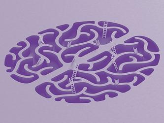 purple illustration of a brain with ladders going in between the folds